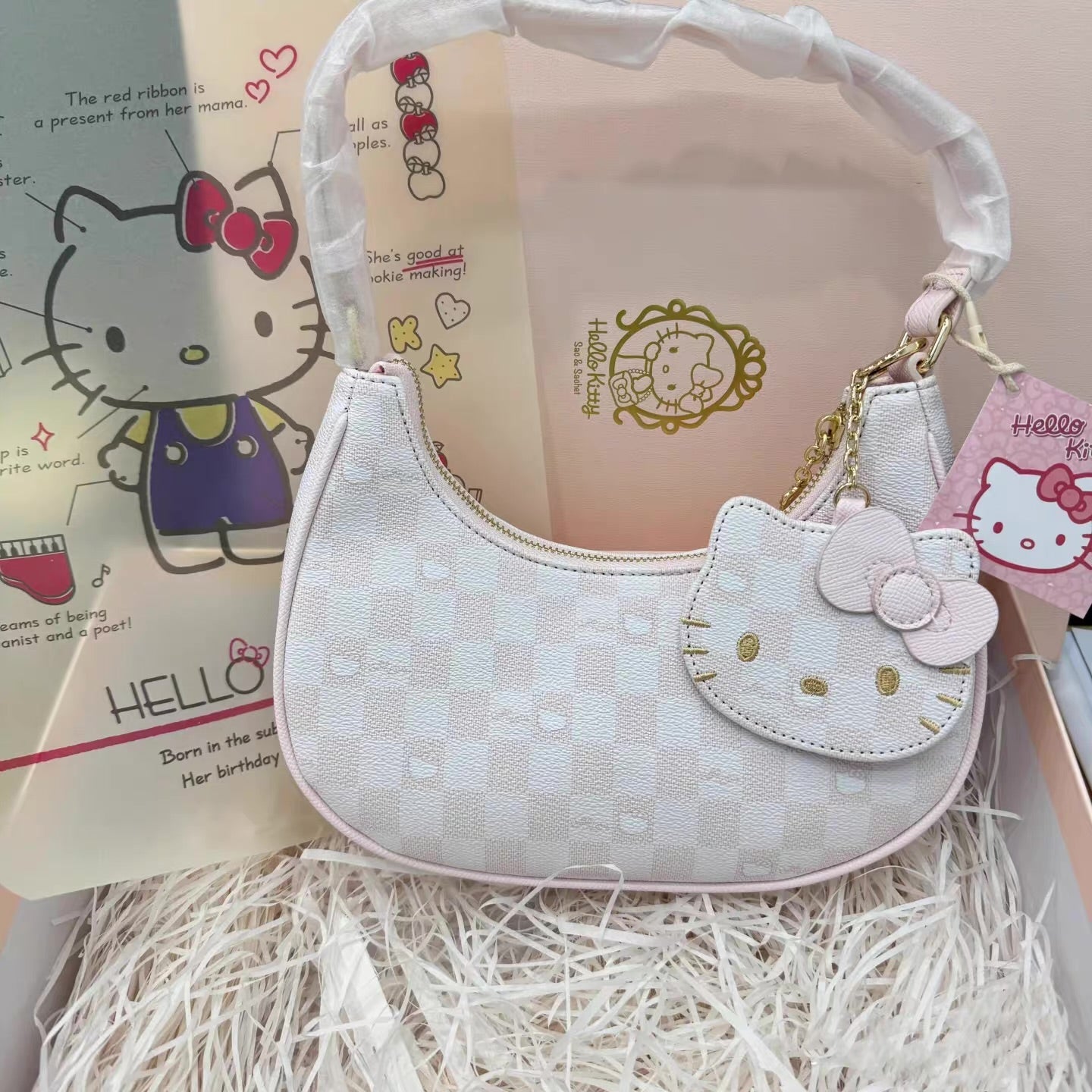 Iconic Hello Kitty side bag Acubi fashion styles.